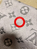 Louis Vuitton Scarves