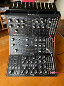 Moog Analog Synthesizer Subharmonicon Dfam Labyrinth