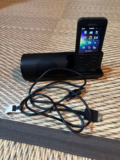 Sony Digital Audio Player