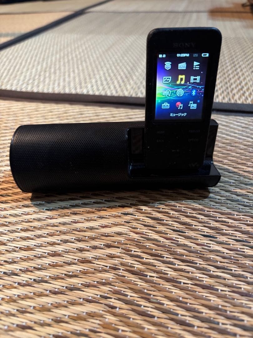 Sony Digital Audio Player