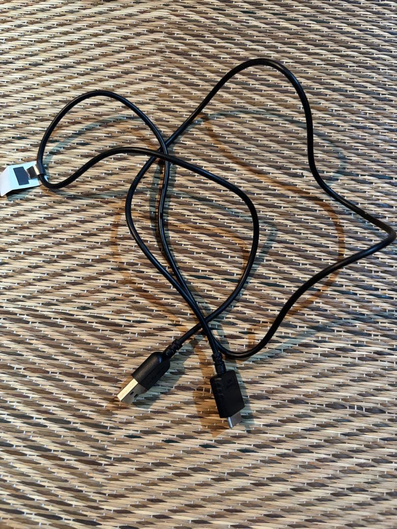 Sony Digital Audio Player