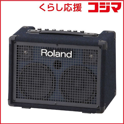 Roland Others Kc-220