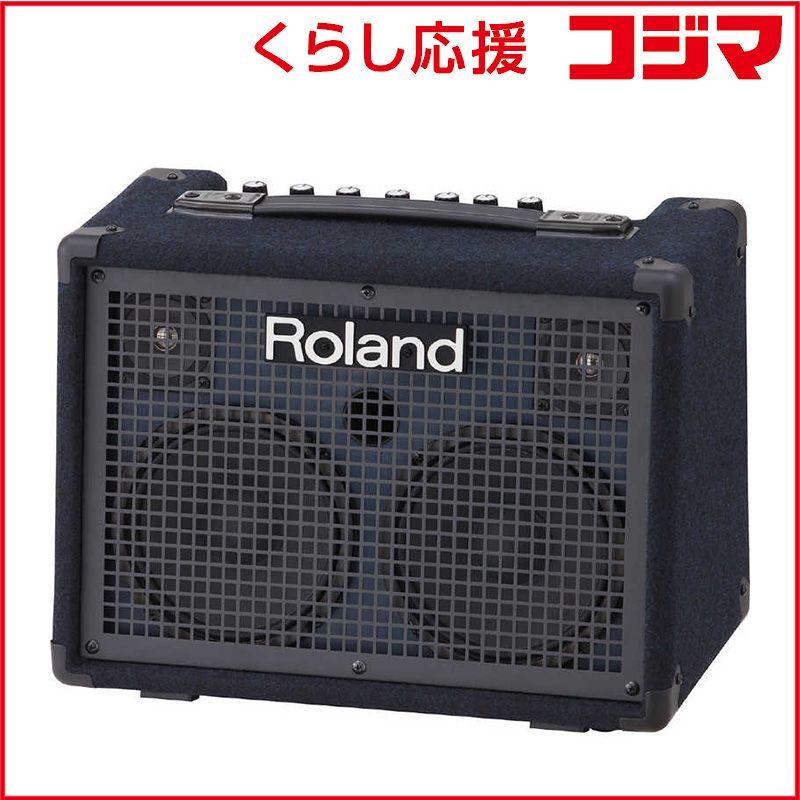 Roland Others Kc-220