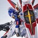 Premium Bandai Other Metal Robot Specii