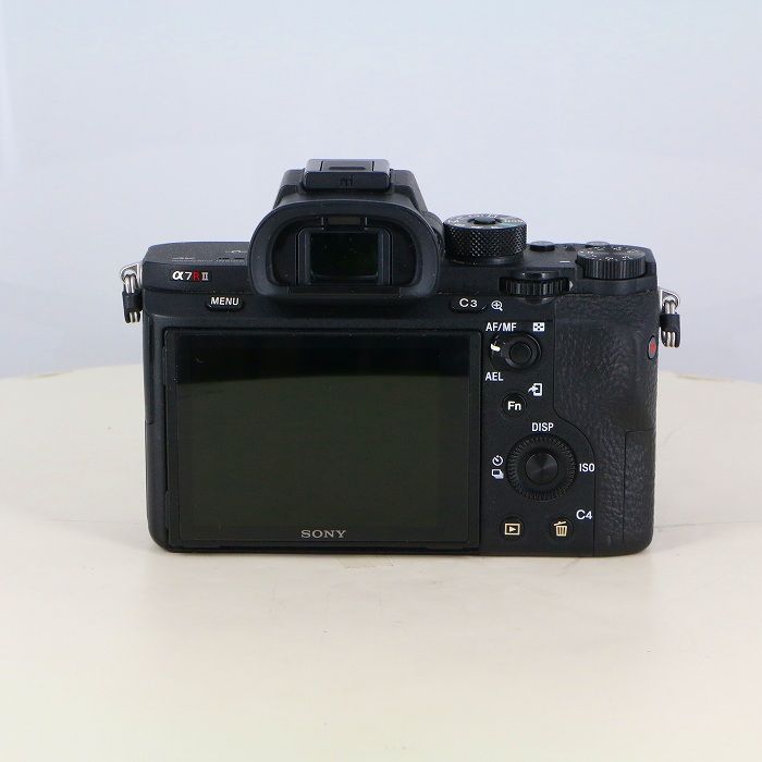 Sony Others 7Rii (Lce-7Rm2)