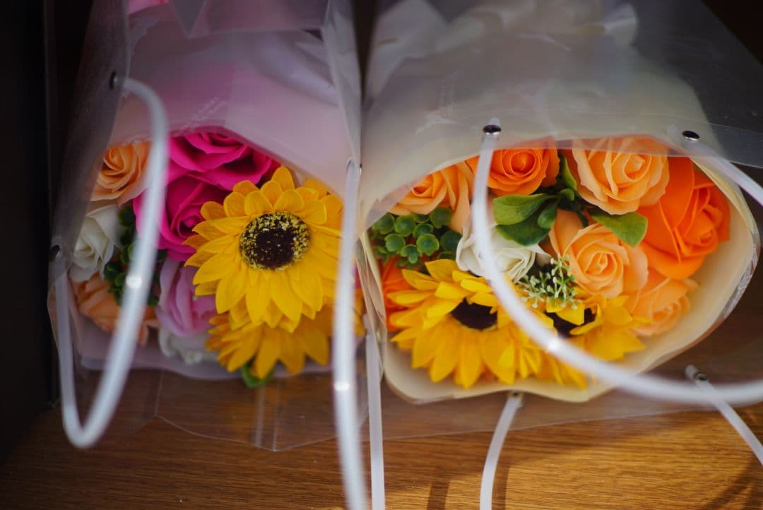 Lens (Single Focus) F1.4 Fujifilm