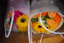 Lens (Single Focus) F1.4 Fujifilm