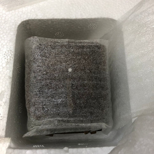 Sf Fantasy Horror Star Wars 1/6 Sideshow Collectibles Dewback 1/6Th Scale