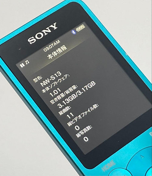 Sony Digital Audio Players Walkman Nw-S13 4Gb