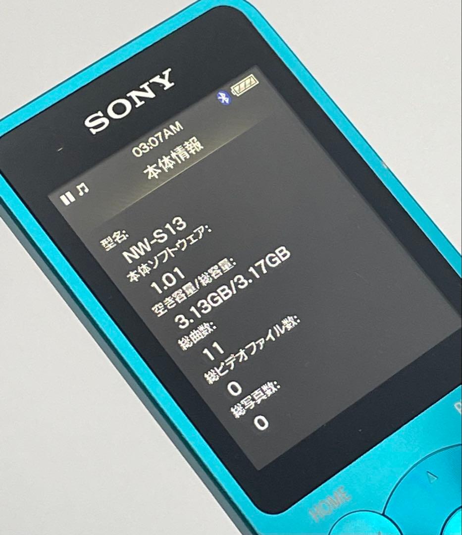 Sony Digital Audio Players Walkman Nw-S13 4Gb