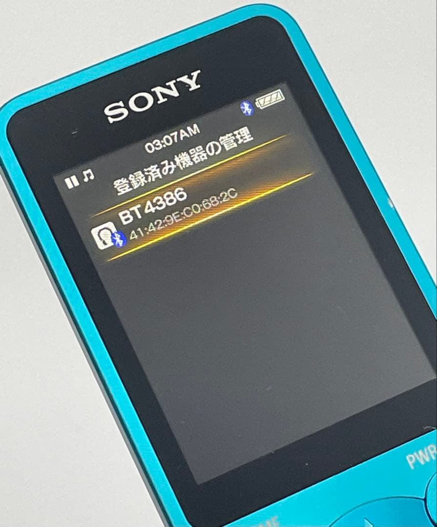 Sony Digital Audio Players Walkman Nw-S13 4Gb
