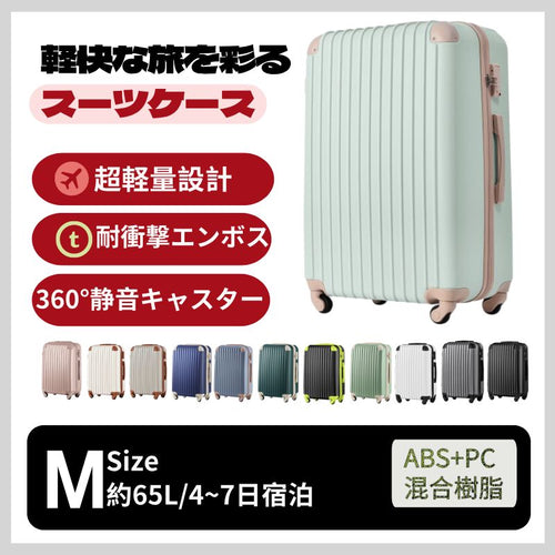 Carry Case M Tsa 4 -7 1