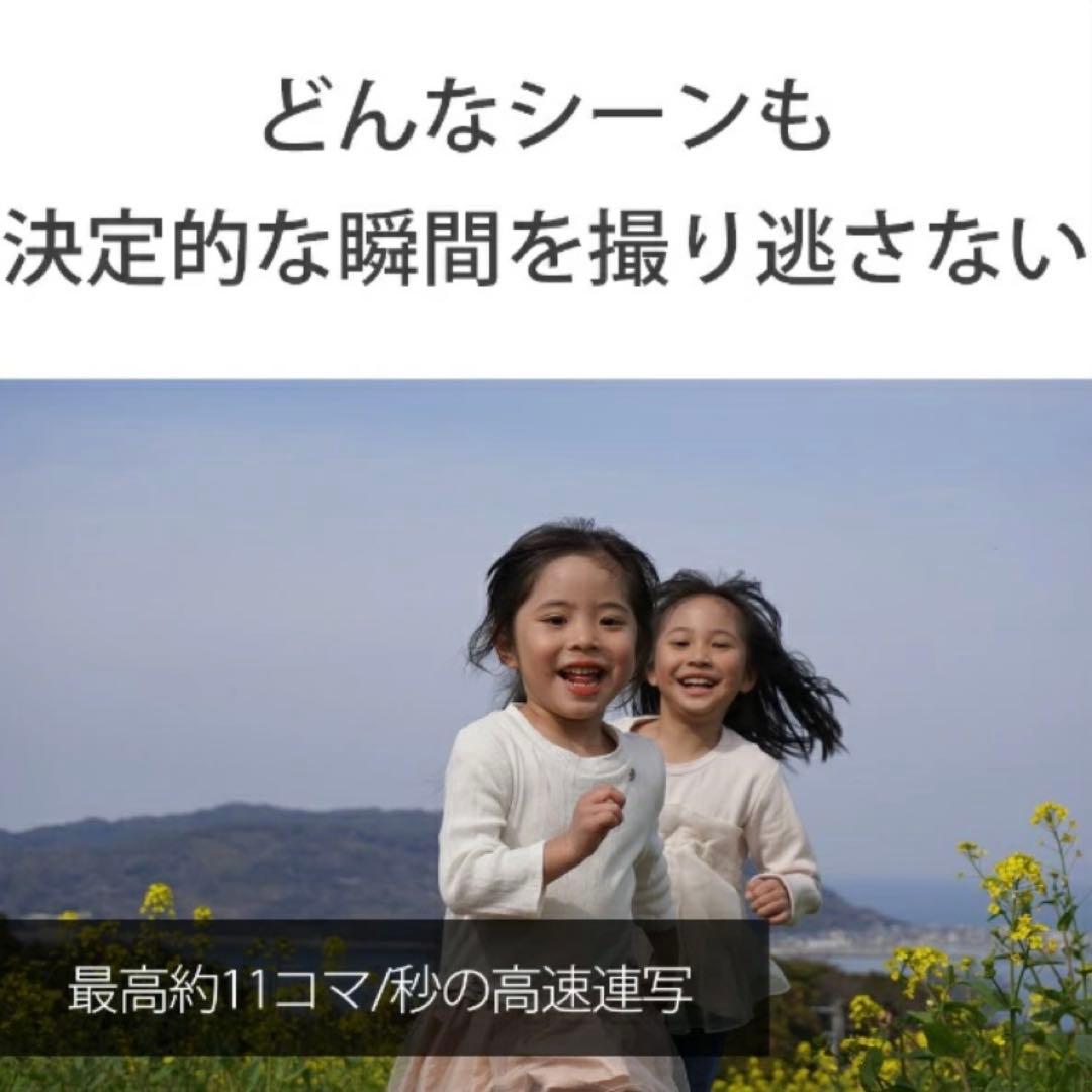 Sony Mirrorless Interchangeable Lips 6400