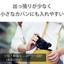 Sony Mirrorless Interchangeable Lips 6400