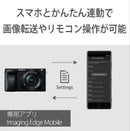 Sony Mirrorless Interchangeable Lips 6400