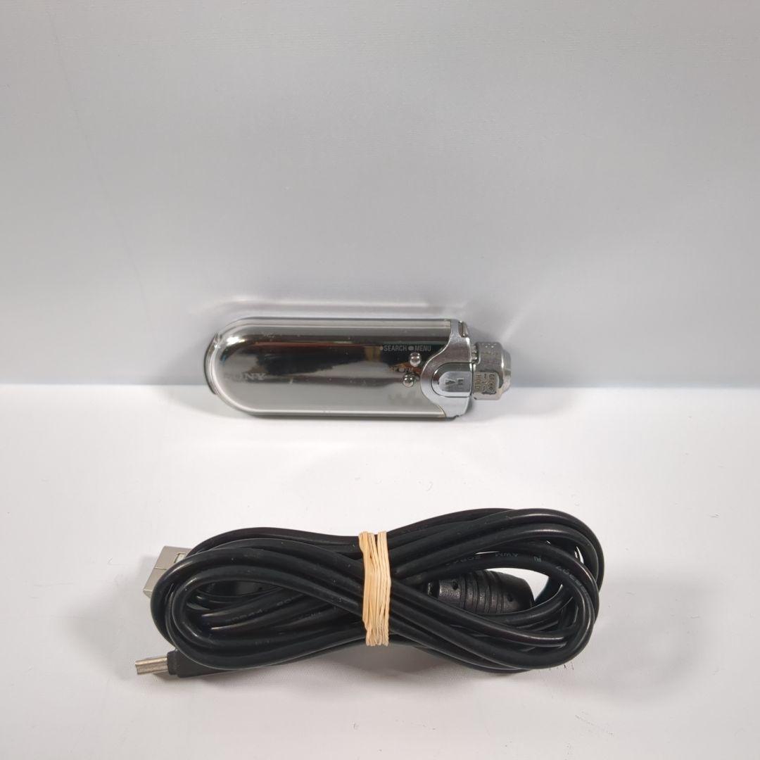 Sony Other Nw-E507 Walkman Mp3