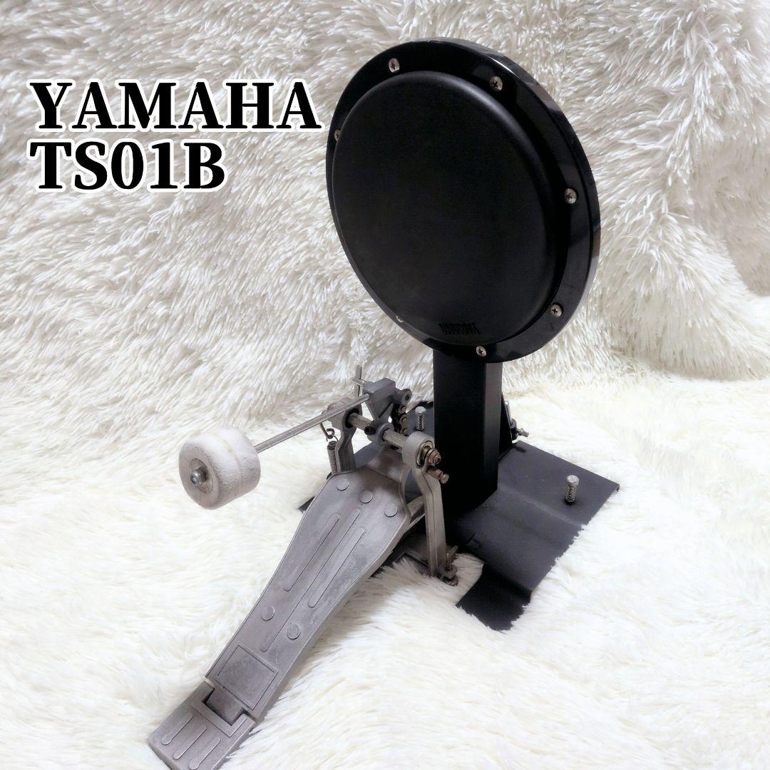 Yamaha Drum Pads Practice (Mute) Ts01B