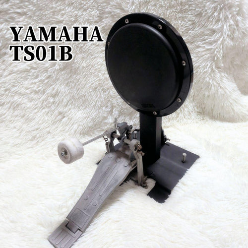 Yamaha Drum Pads Practice (Mute) Ts01B