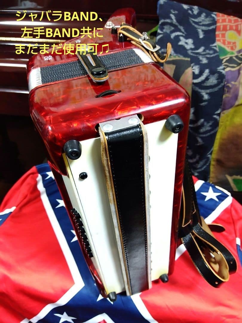 Yamaha Accordion Ya-21