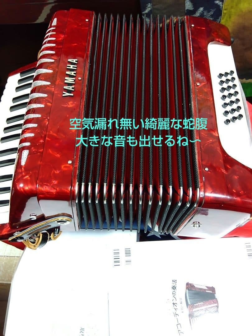 Yamaha Accordion Ya-21