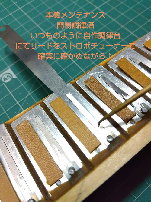 Yamaha Accordion Ya-21