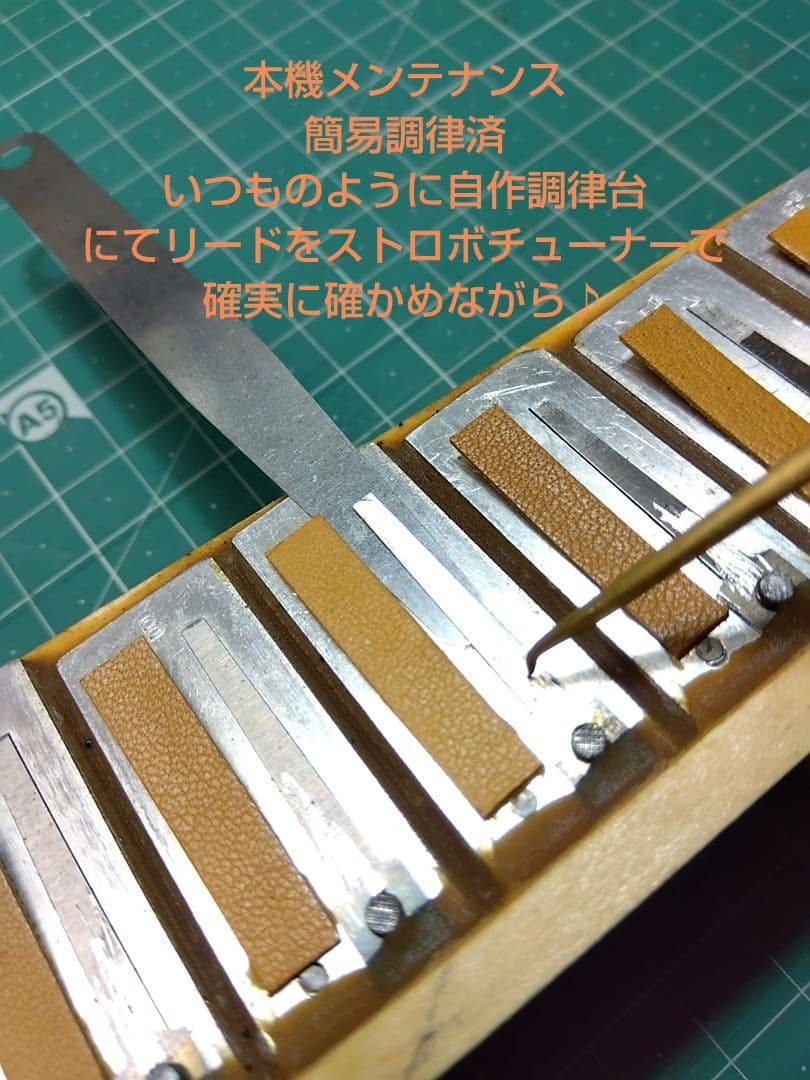 Yamaha Accordion Ya-21