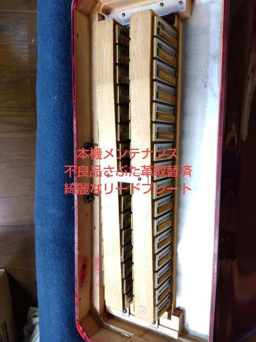 Yamaha Accordion Ya-21