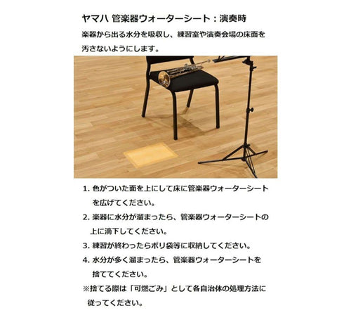 Wind Instrument Maintenance Supplies
