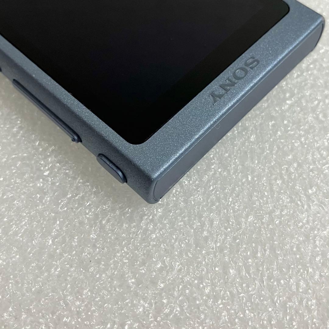 Sony Digital Audio Players Nw-A45 16Gb