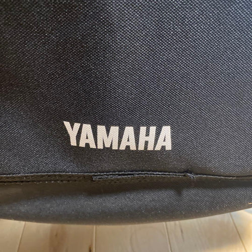 Yamaha Classical Guitars Cg151S