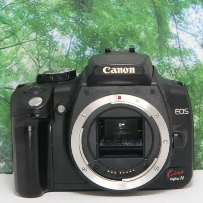 Canon Digital Slr Kissn Wifisd Ok