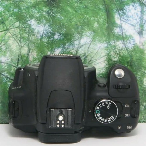 Canon Digital Slr Kissn Wifisd Ok