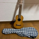 Acoustic Guitars