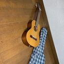 Acoustic Guitars