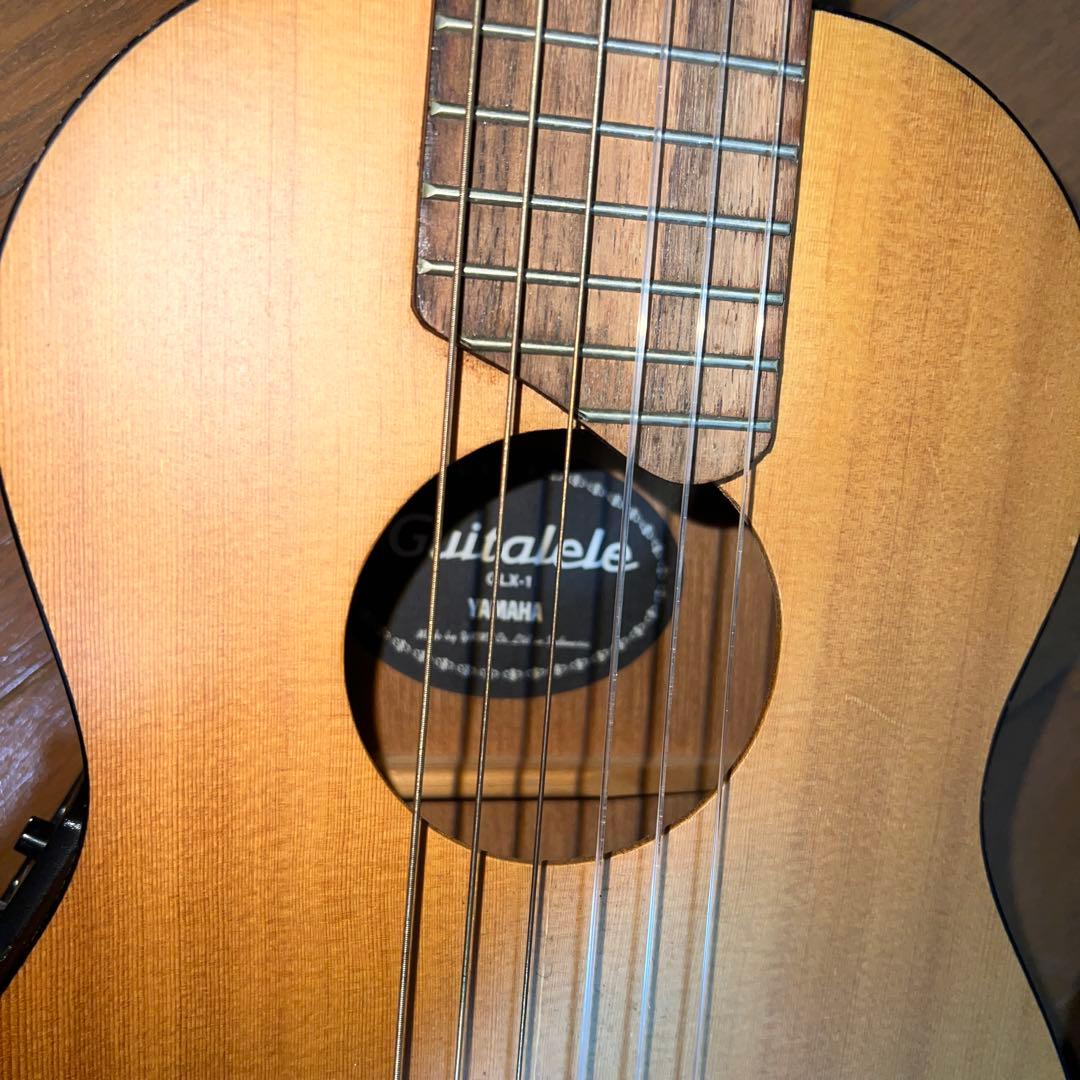 Acoustic Guitars