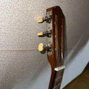 Acoustic Guitars
