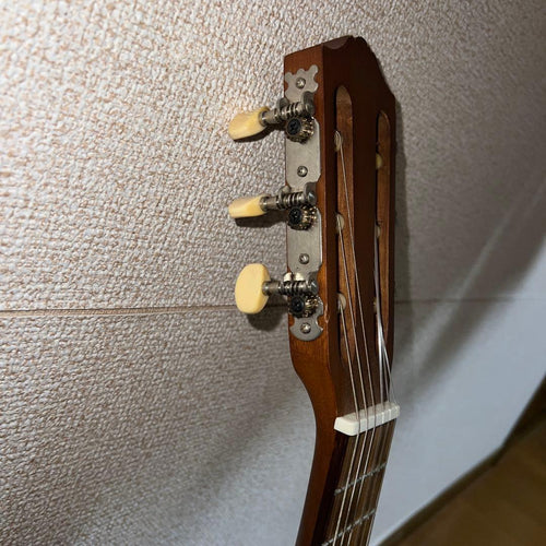 Acoustic Guitars
