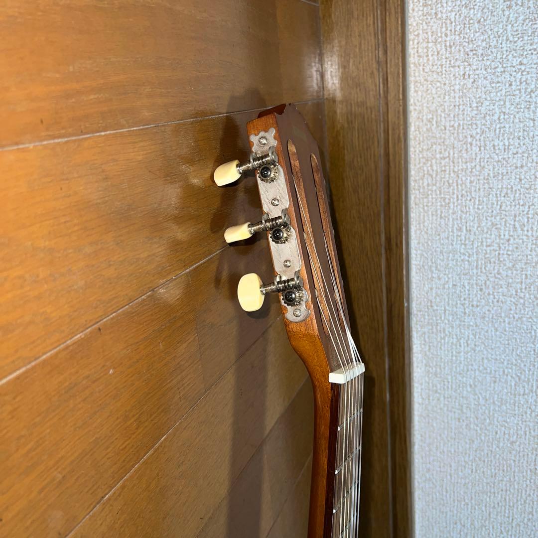 Acoustic Guitars