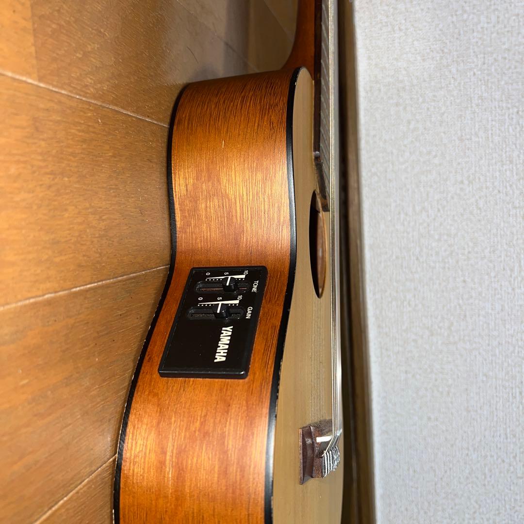 Acoustic Guitars