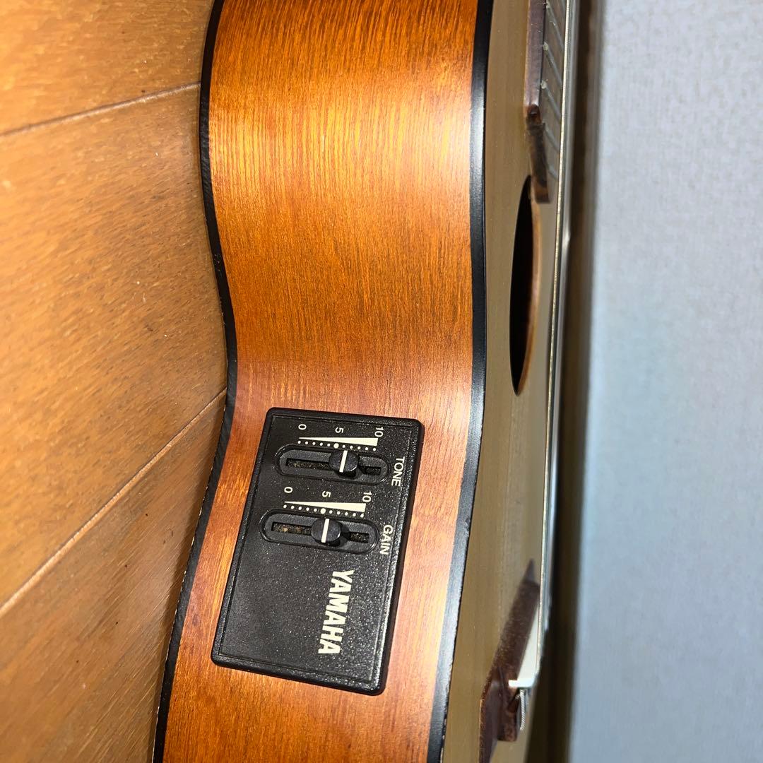 Acoustic Guitars