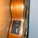 Acoustic Guitars