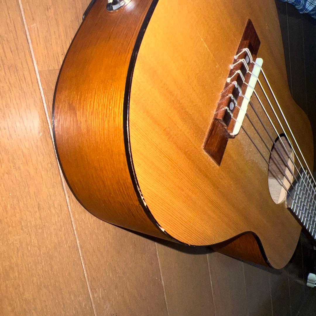 Acoustic Guitars