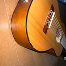 Acoustic Guitars