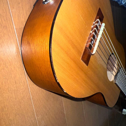 Acoustic Guitars