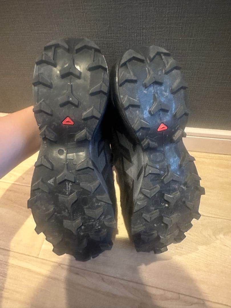Salomon Sneakers Speedcross 6 Gore-Tex