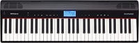 Analog Synthesizer Roland /Go-61P Go:Piano