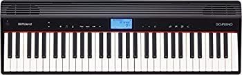 Analog Synthesizer Roland /Go-61P Go:Piano