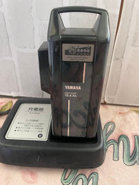 Yamaha Other 15.4