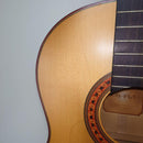 Yamaha Classical Guitars Cg-Fl1