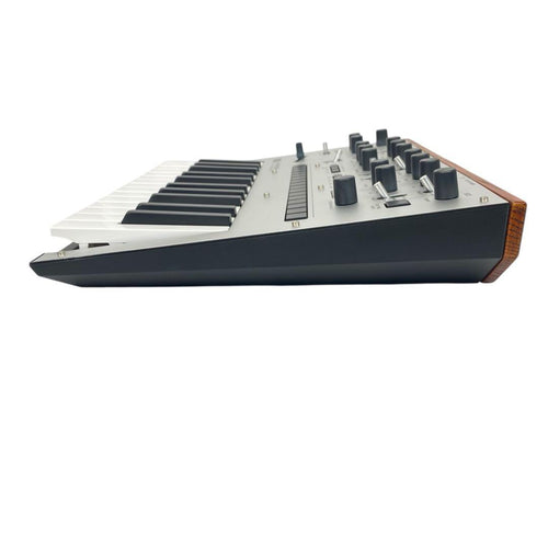 Korg Analog Synthesizer Monologue